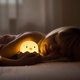 thumbnail image 4 of Luz nocturna para niños Lámpara de guardería con controles táctiles Lindo pollito Luz de noche para lactancia/enfermería USB recargable Decoración de guardería para recién nacidos o niños pequeños, luz cálida Dontodent Kuyhfg Sin marca, 4 of 5