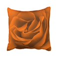 thumbnail image 1 of RYLABLUE Decorative Pillowcases Pumpkin Rose Magnified Throw Pillow Covers Cases Cushion Cover Case Sofa 18x18 Inches Two Side, 1 of 1