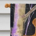 thumbnail image 3 of Carolines Treasures SS8479CHF Starry Night Rhodesian Ridgeback Canvas Flag - House Size- 28 x 40 in., 3 of 4