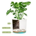 thumbnail image 7 of QCQHDU 2 Pack Plant Pot, 5 in White Plastic Indoor Planter with Drainage Holes And Removable Base, 7 of 7