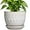 Columnar White, variant on Ceramic Pots for Plants - 5 Inch Plant Pot Indoor with Drainage Hole and Saucer, Outdoor Flower Pot, Decorative Round Planter for Succulent Orchid Snake Plants, White