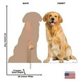 thumbnail image 5 of Advanced Graphics Golden Retriever Life-Size Cardboard Stand-Up, 45" x 30", 5 of 5