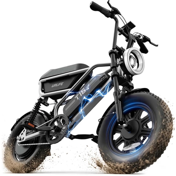 Electric Bike for Adult and Teens,750W Peak Motor, 16"*3.0 Fat Tire Ebike, 48V 13Ah Removable Battery, Up to 20MPH 60Miles Range, City Commuting E-Bike -UL2849