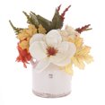 thumbnail image 1 of Récolte Pl Ceremic pot Floral, 1 of 5