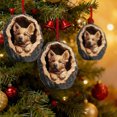 thumbnail image 4 of Uklsqma Christmas Acrylic Animal Ornaments Set 5Pcs | Flat 2D Multicolor Owl Raccoon Tree Pendants | Durable Holiday Decorations with Hanging String | Xmas Tree, Wreath, Wall Decor Gifts, 4 of 6