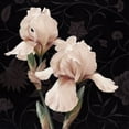 thumbnail image 2 of Levashov, Igor 12x12 Gold Ornate Wood Framed with Double Matting Museum Art Print Titled - Iris Elegante, 2 of 4