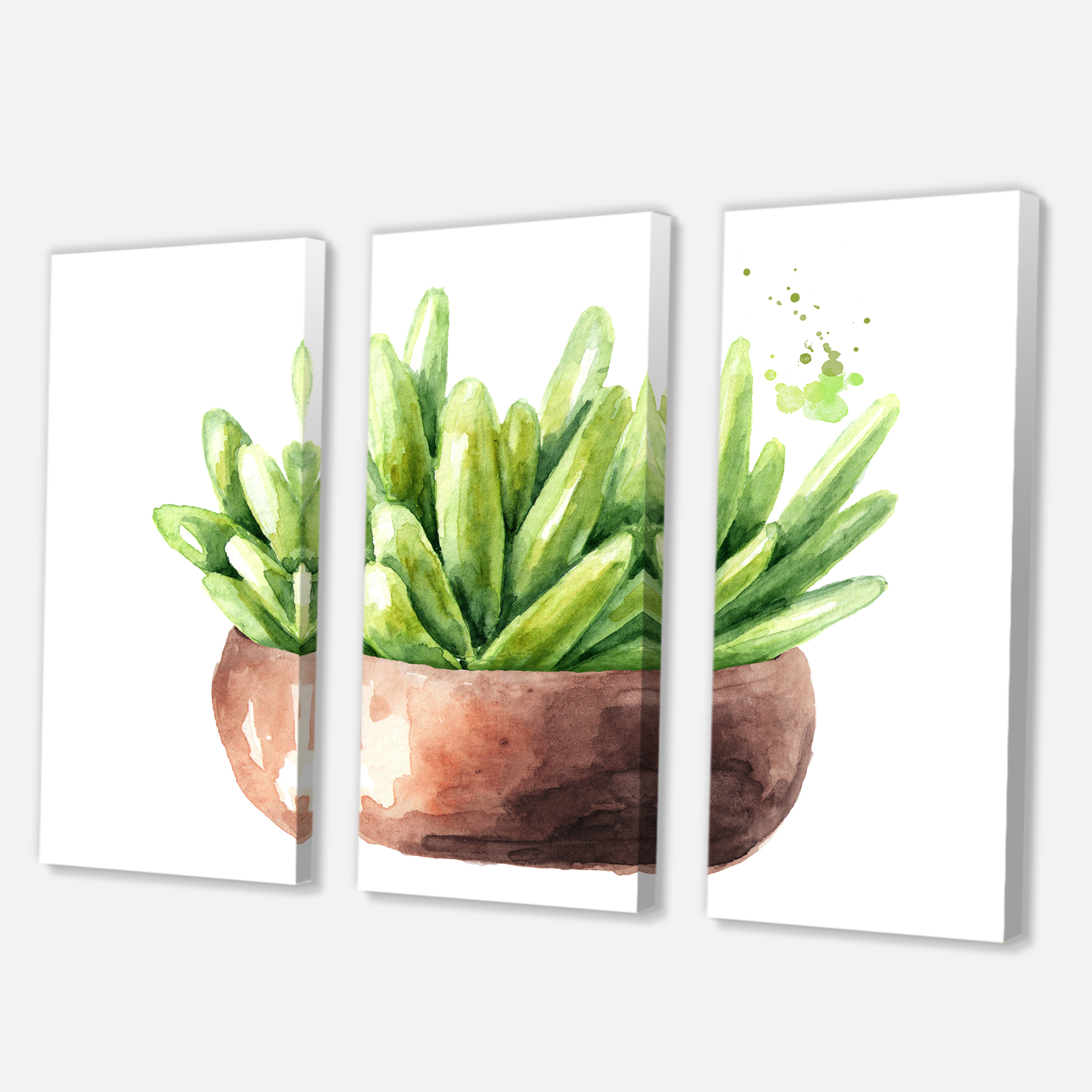 Designart ' Succulent Flower In Terracotta Clypot I ' Traditional Canvas Wall Art Print