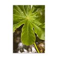 thumbnail image 2 of Gango Home Decor Tropical Leaves IV by Karyn Millet (Printed on Paper); One 24x36in Fine Art Paper Giclee Print, 2 of 4