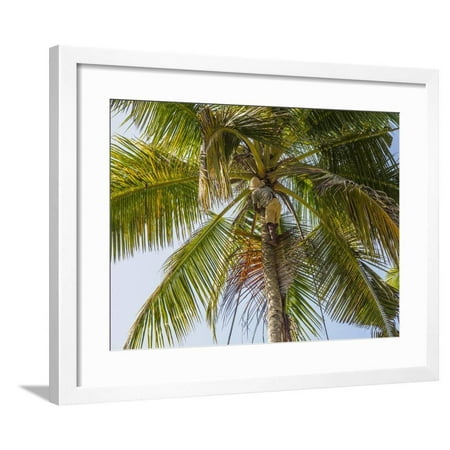 Asian Thatch (Man cutting palm fronds for thatching in Bali, Indonesia, Southeast Asia, Asia Framed Print Wall Art By Melissa)