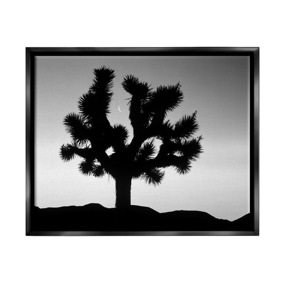Stupell Industries Monochrome Moonlit Desert Tree Landscape Photography Black Floater Framed Art Print Wall Art