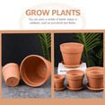 thumbnail image 2 of 20pcs Tiny Cactus Flower Pots  Nursery Pots Tiny Cactus Pots, 2 of 6