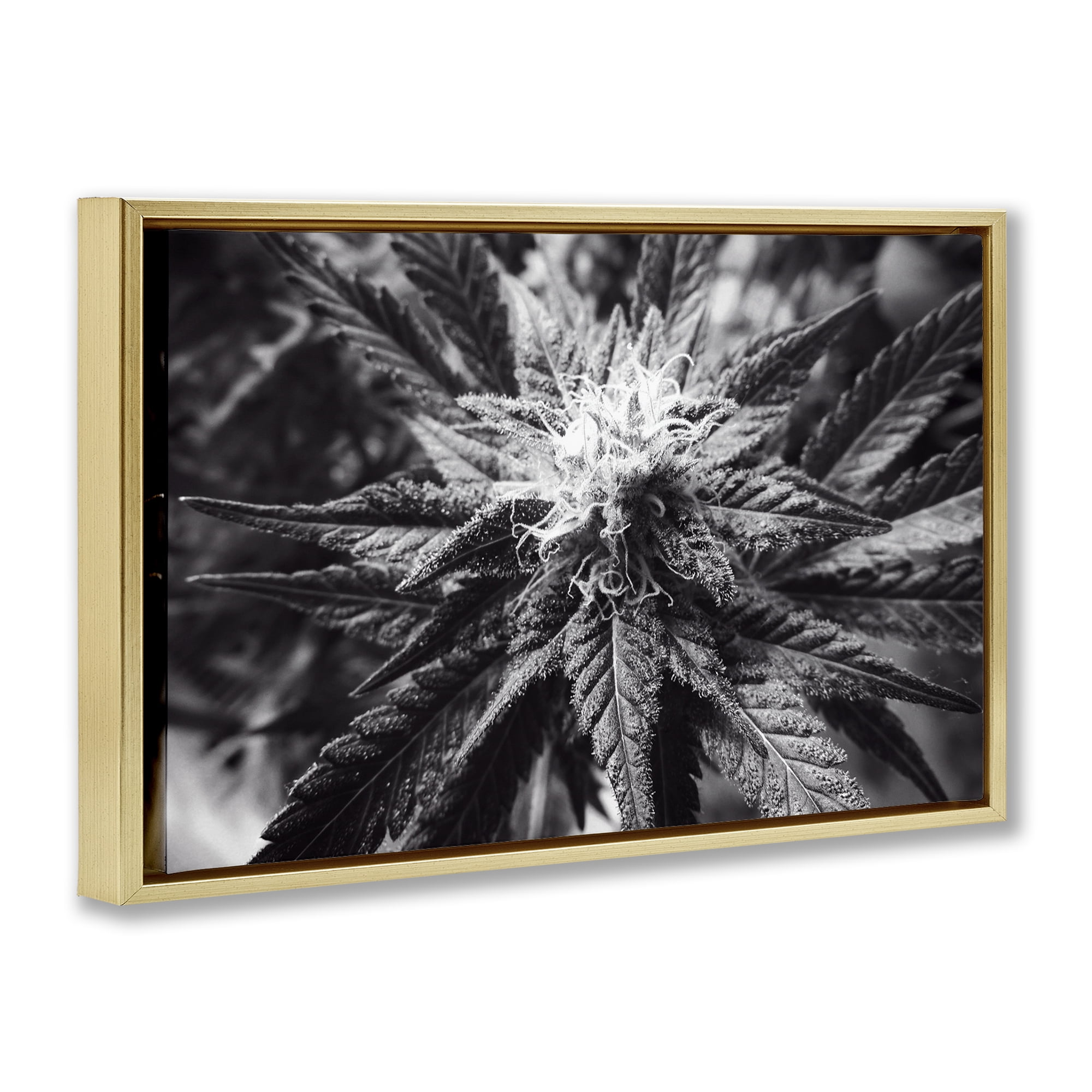 Stupell Industries Dark Cannabis Flower Plants & Flowers Painting Gold Floater Framed Canvas Art Print Wall Art, 31 x 21