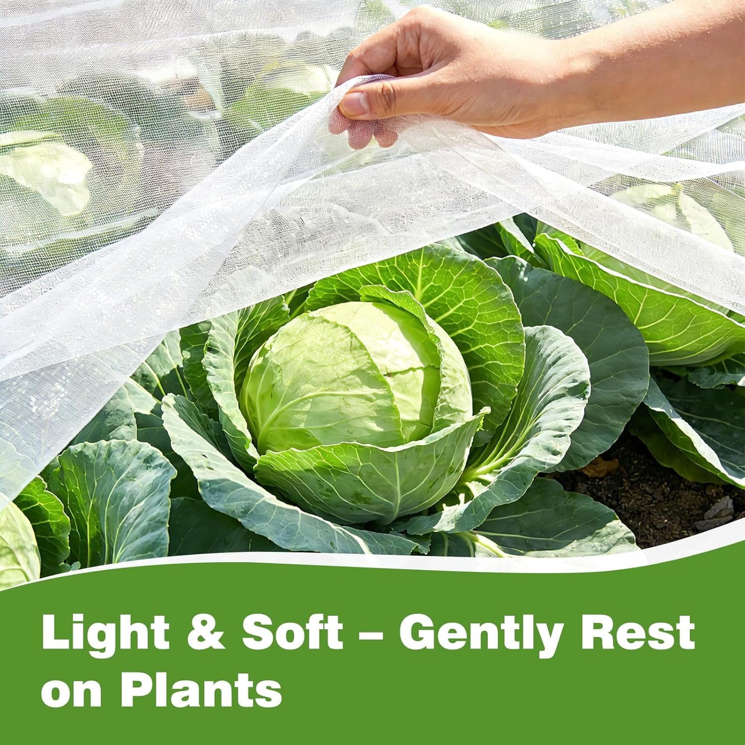 Garden Netting Pest Barrier, 10 X 50FT Insect for Raised Beds, Mesh Bug Row Cover Vegetables, Fruit Trees, Blueberry Bushes