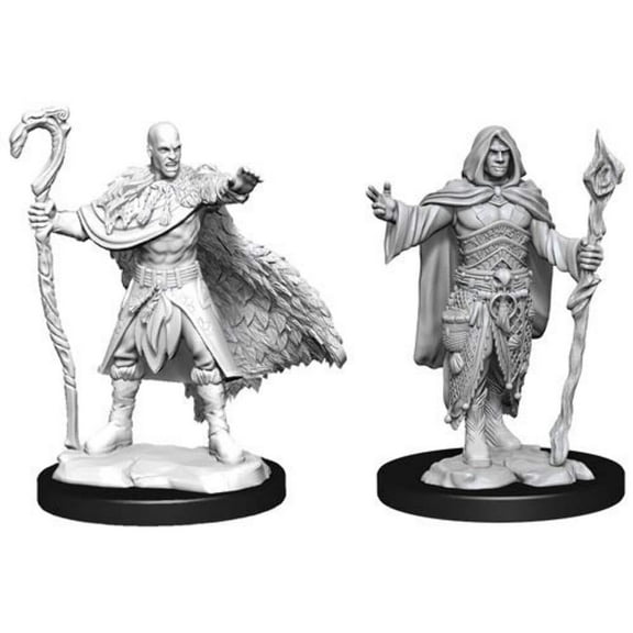 D&D: NMU: Human Druid Male W14 Nolzur's Wizkids Marvelous Miniatures - WZK90221