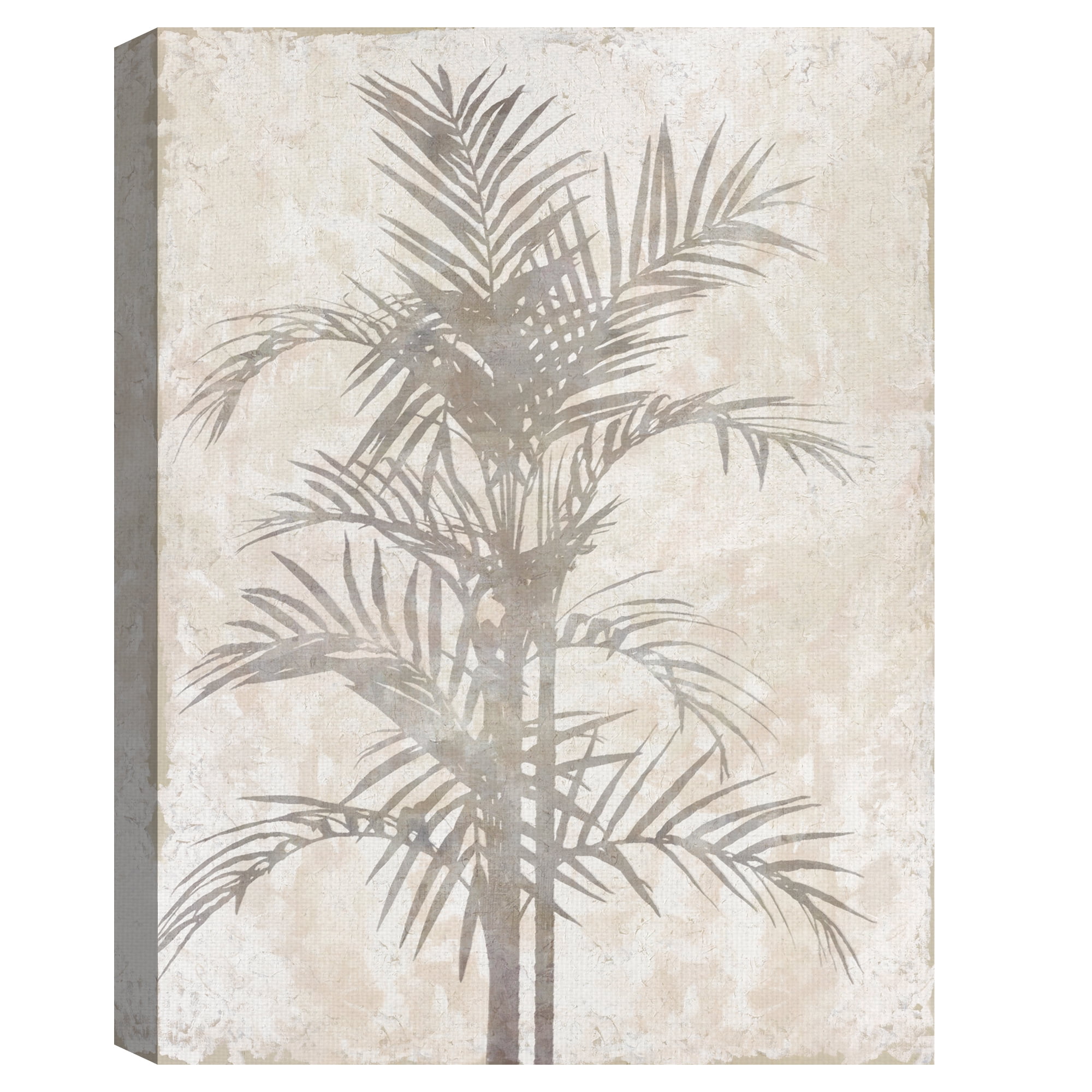 Foliage Shade by Tania Bello Canvas Art Print