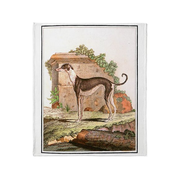 CafePress - Dog (Greyhound) Throw Blanket - Soft Fleece Throw Blanket, 50"x60" for All Ages