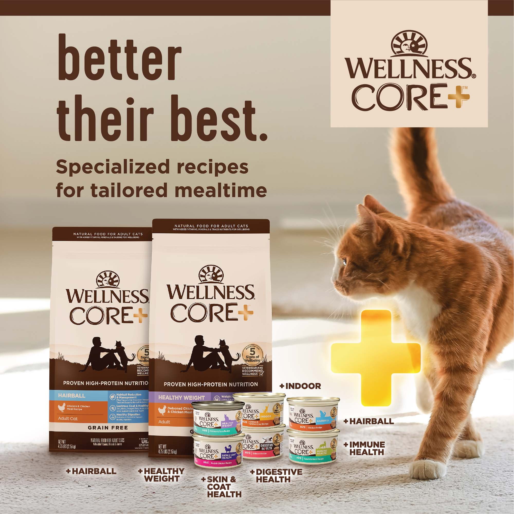 Wellness CORE+ Adult Dry Cat Food for Indoor Cats, Natural, Grain Free Kibble, Chicken and Turkey Recipe, 11 lb Bag