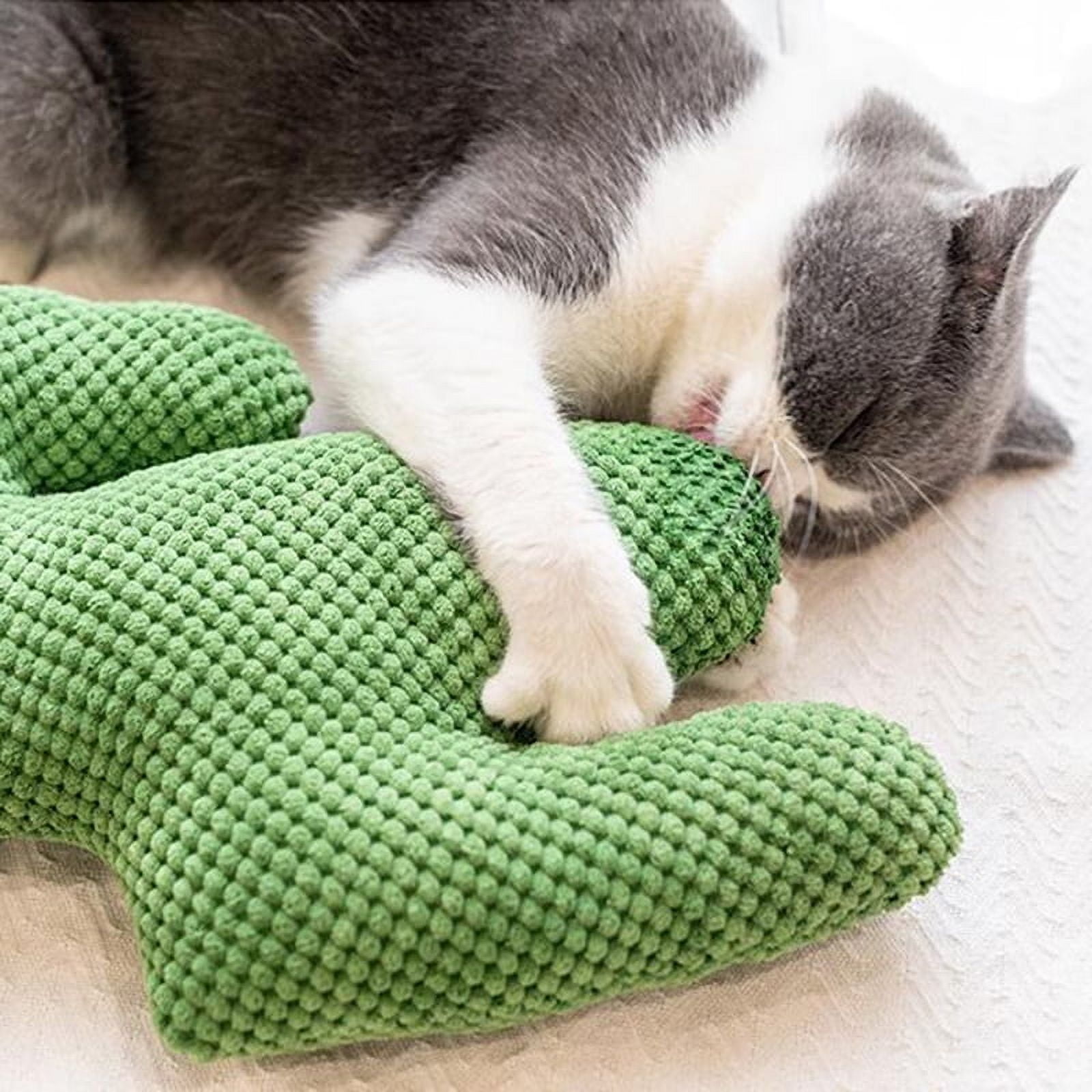 for Cactus Plush Dog Toy Interactive Stuffed Chew for Cats & Dogs Improve Mental & Physical for