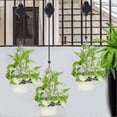 thumbnail image 4 of Adjustable Plant Pulley System with 6 Retractable Hangers for Hanging Plants Indoors and Outdoors, 4 of 5