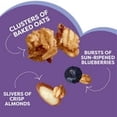 thumbnail image 2 of Kashi Gut Health Blueberry Almond Granola, Prebiotics and High Fiber, Whole Grain, 8 oz pack of 1, 2 of 5