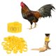 thumbnail image 1 of Uxcell 100-Pack Bandas Ajustables para las Patas de Pollos para Identificación de Aves de Corral [Verde], 1 of 6