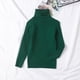 thumbnail image 2 of Suéter De Cuello Alto Para Niños Pequeños Suéter De Punto Para Bebés Suéter Suave Sólido Cálido Suéter De Ganchillo Verde Odeerbi LM103-741, 2 of 4
