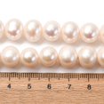 thumbnail image 3 of 1strand Natural Cultured Freshwater PearlBeads Strands Round Seashell color 10~11mm Hole: 0.8mm about 42pcs/strand 15.7 inch, 3 of 5
