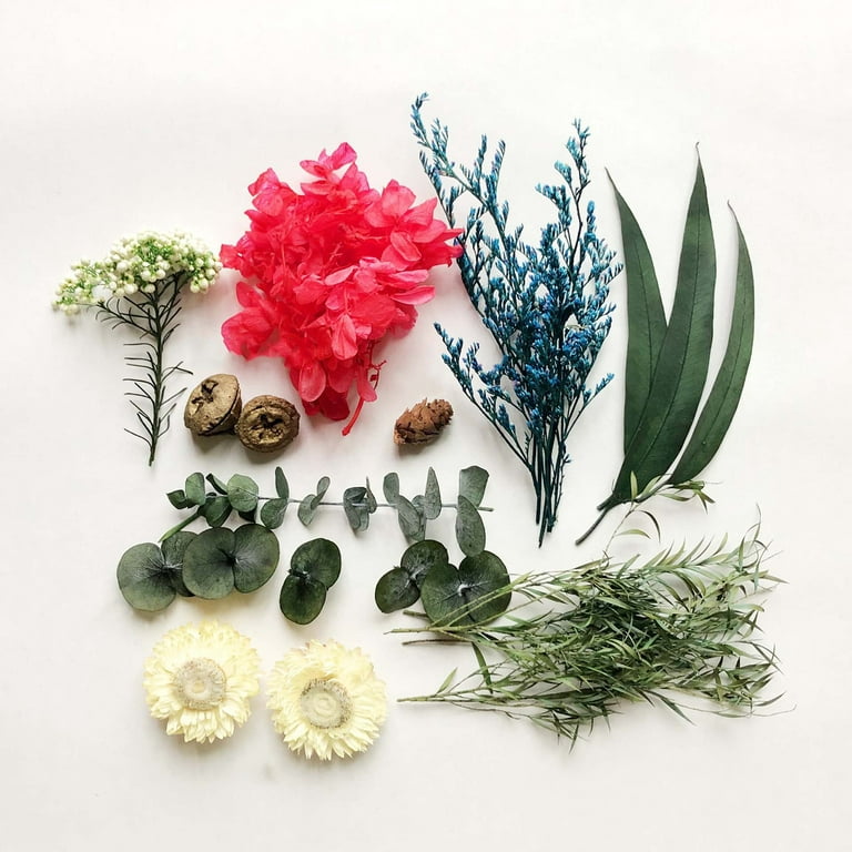 Gadgetvlot DIY Dried Flowers Material Eternal Flower Artificial Multicolor Festival Supplies Home, Size: 17, Green