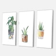 thumbnail image 3 of Designart ' Three Potted Houseplants On White ' Traditional Canvas Wall Art Print, 3 of 3