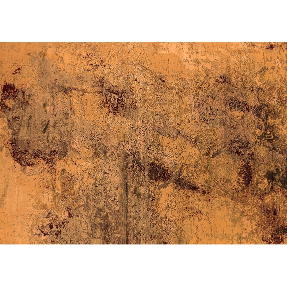 Ahgly Company Indoor Rectangle Oriental Orange Industrial Area Rugs, 3' x 5'