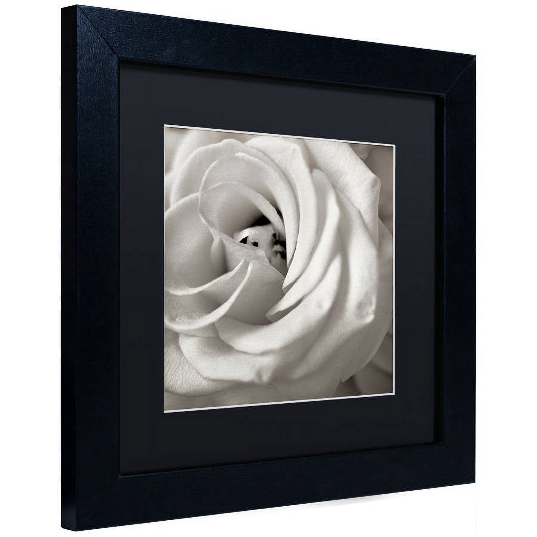 Trademark Fine Art "Florison 43" Canvas Art by Alan Blaustein, Black Matte, Black Frame