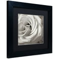 thumbnail image 2 of Trademark Fine Art "Florison 43" Canvas Art by Alan Blaustein, Black Matte, Black Frame, 2 of 4