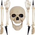 thumbnail image 1 of Skeleton & Posable, Skeleton Skeleton, Model Plastic Skeleton, Movable Joints Of Characters, Halloween Haunted House Props Decoration., 1 of 5