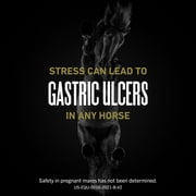 UlcerGard Oral Paste for Horses, Singles