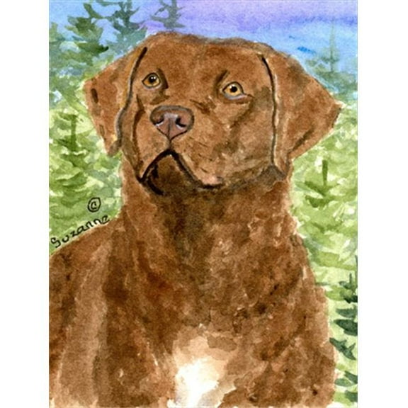 11 x 15 In. Chesapeake Bay Retriever Flag, Garden Size