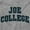 Sport Grey, variant on Joe College Student Drinking Party Womens Fitted Plus Size Graphic Tee Brisco Brands 2X
