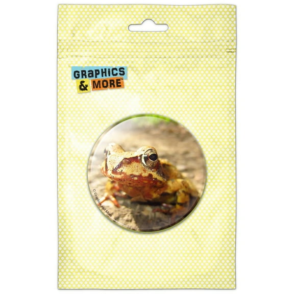 Frog Close Up Pinback Button Pin Badge