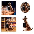 thumbnail image 3 of Uinagy Animal Whiskey Bottles, 3 of 9