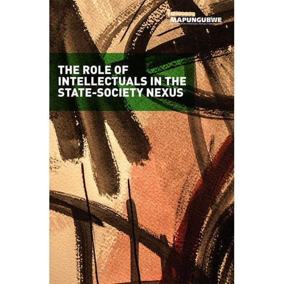 The Role of Intellectuals in the State-Society Nexus (Paperback)