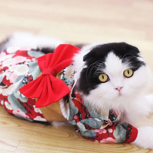 Clothes For Dog Cats Pet Summer Japanese Dog Clothes Kimono French Bulldog Corgi Chihuahua Shiba Inu Puppy Suit For Dogs ShopWise Round