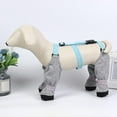 thumbnail image 4 of Dog Boots with Suspenders Winter Snow Suspender Boots for Dogs Waterproof Dog Suspender Boots Anti-Slip Dog Boot Suspenders for Small Medium Large Dogs, 4 of 7