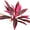 Fuchsia 1PCS, variant on 1PCS Artificial Dracaena Fake Plants for Bedroom Decorations for Living Room Decor Ative Plants Fake Potted Plants Adornos para Sala Home Decor(Fuchsia)