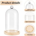 thumbnail image 4 of PH Cloche Glass Dome Decorative Display Case Clear Glass Display Dome with Top Handle Cloche Bell Jar Dome Cover for Plants Flower Cake Clay Succulents Christmas Display 8.3x4.7 inch Clear, 4 of 6