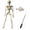 White/Fisherman, variant on 70cm Halloween Skeleton Prop, Skeleton Halloween Decoration Figurine, Skull Hand Model Decor