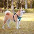 thumbnail image 5 of PoyPet Dog Harness No Pull,Adjustable Soft Padded Pet Vest with Easy Control Handle,No Choke Reflective Front Dog Harness for Small Medium Large Dogs,Mint Blue S, 5 of 9