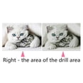 thumbnail image 4 of Graflsoa "DIY Cat Diamond Painting Kit - 40x30cm Canvas Art with Rhinestones & Tools Included", 4 of 7