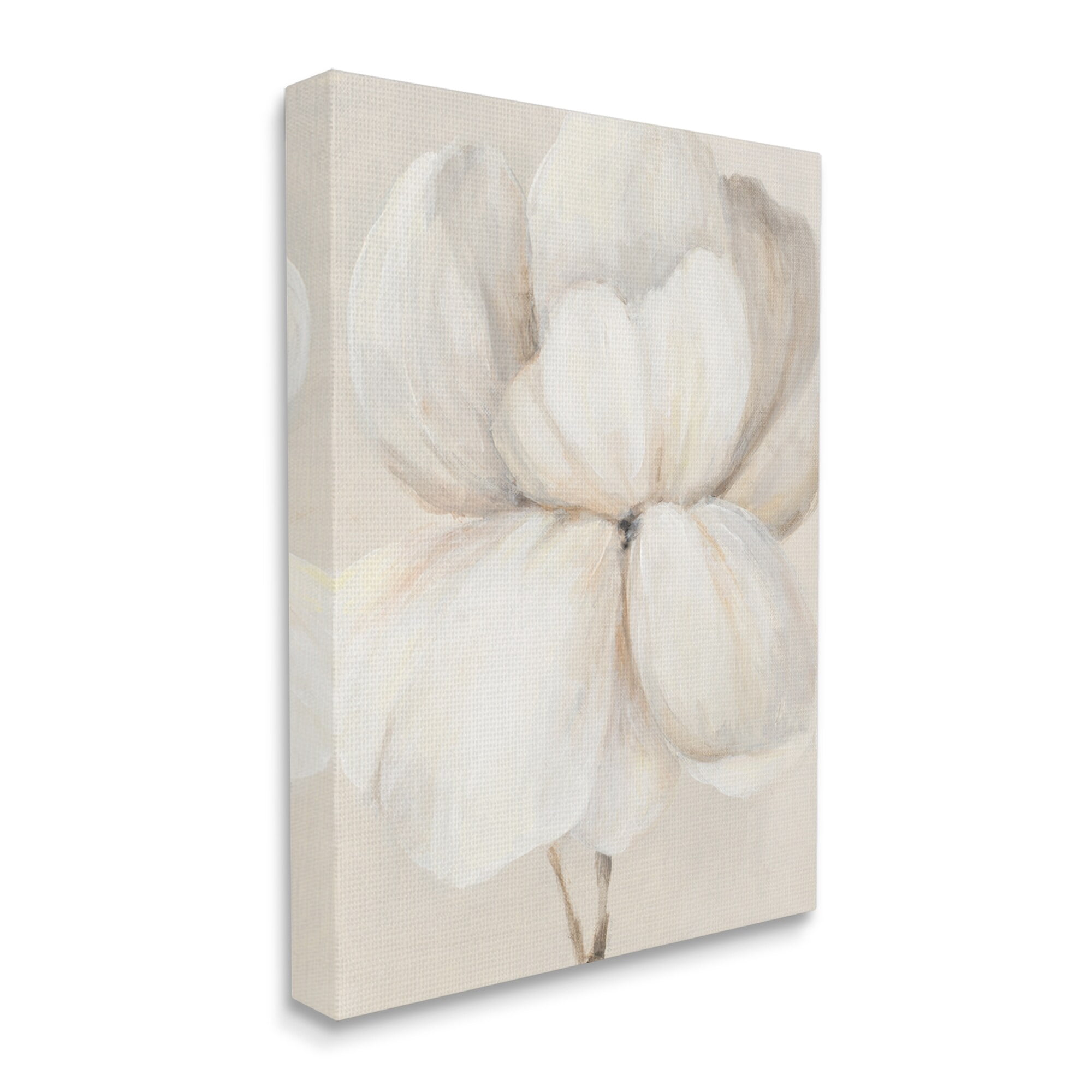 Stupell Industries Puffy White Flower Traditional Floral Petal Painting, 16 x 20,Design by Lanie Loreth