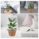 thumbnail image 4 of BESTYASH Cesta De Clara Con Asa Para Arreglo Floral Y Uso Decorativo, 4 of 8