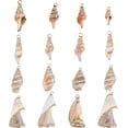 thumbnail image 1 of 1 caja de 16 piezas de 4 estilos de conchas marinas en espiral galvanizadas, dijes artesanales, conectores, colgantes, dijes de conchas marinas con aro dorado chapado, 1 of 9