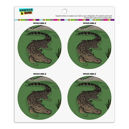 

Crocodile in Swamp Refrigerator Fridge Locker Vinyl Circle Magnet Set
